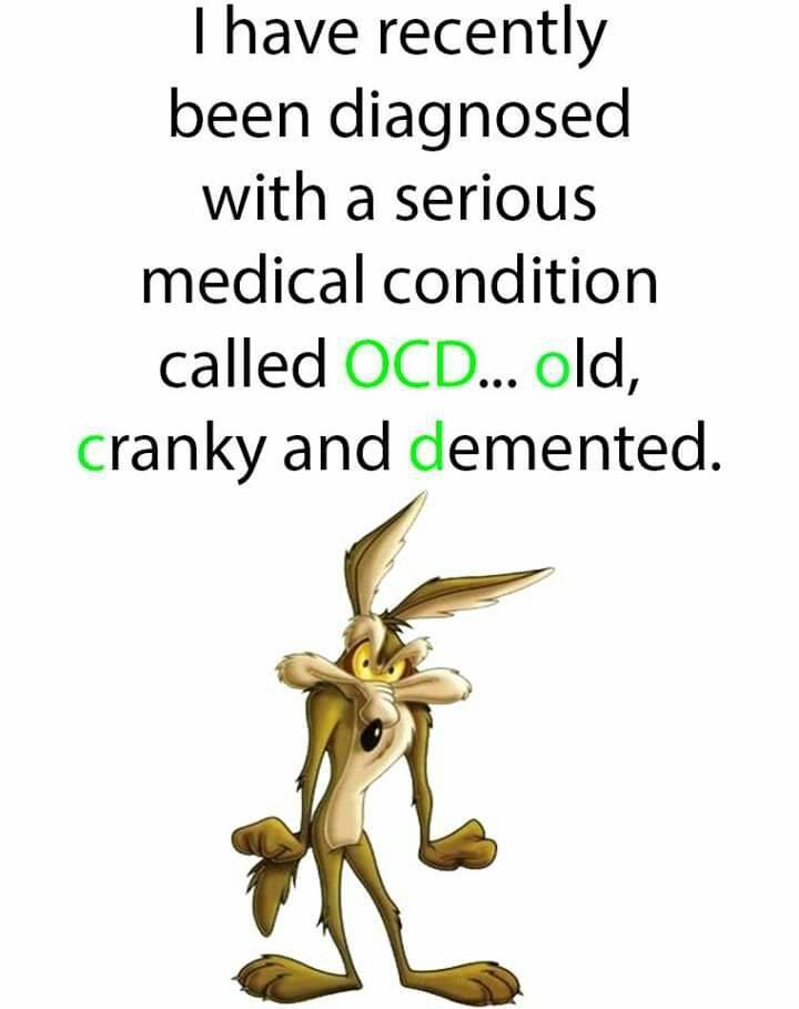 72372551_3090148361012247_251849258670489600_n