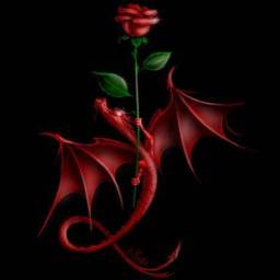 redrose dragon2.jpg