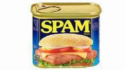 TheSpam.jpg